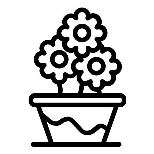 Fiori e piante